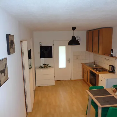 New Mountain Lux Apartment Innsbruck