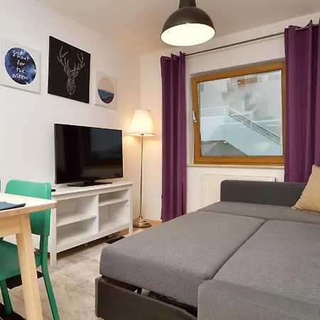New Mountain Lux Apartment *